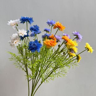 ���滨 ʸ܇�� ���x���nʽ݆��ٻ��羳�Ҿ��b����l��c�S�����l