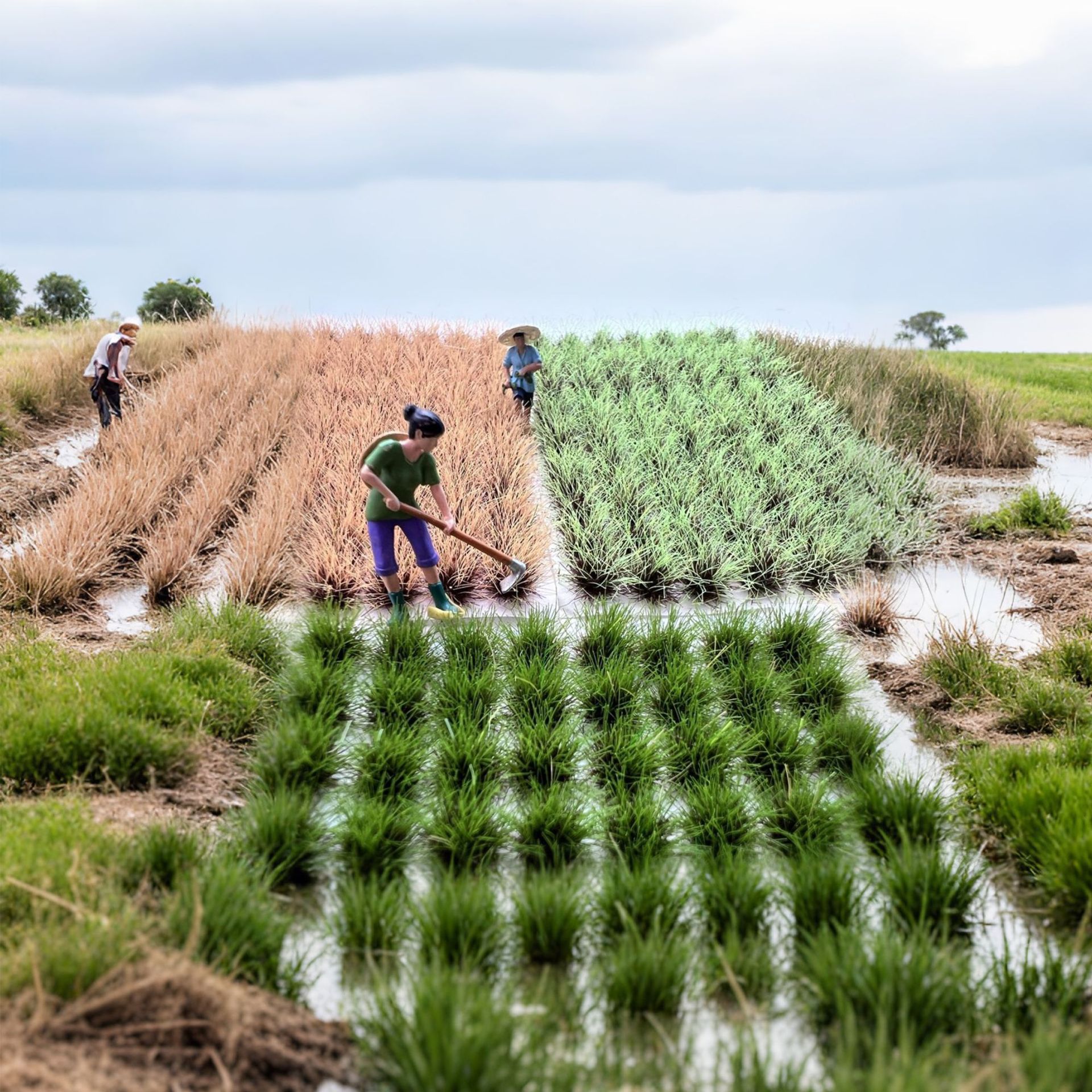 8mm96 plantas redondas cluster modelo de vías ferroviarias accesorios escenario de arena militar diy forma de hierba miniatura