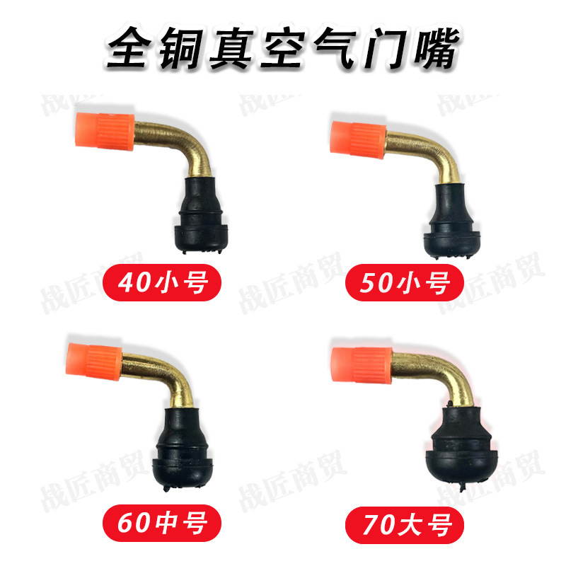 Wholesale Motorcycle Vacuum Tire Valve, Electric Vehicle Tire Pure Copper Valve, Tricycle Tire Valve
