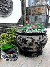 ʯ~׷¹ʯʯ׻҃ͥԺB~ɻTˮ