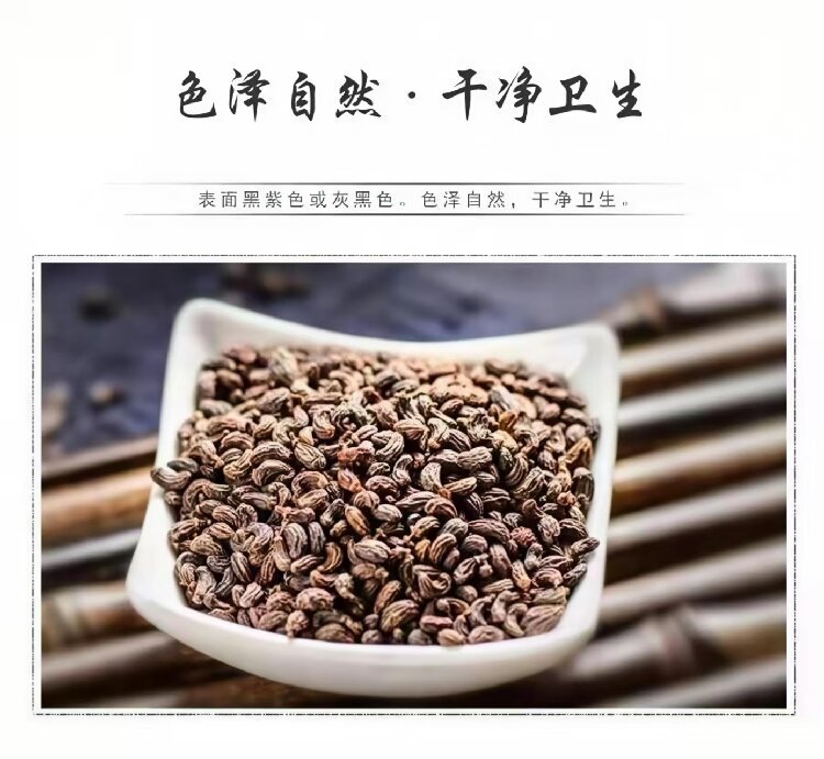 Nü Zhēn Zǐ (Ligustrum lucidum) — Dried Glossy Privet Fruit for Tea, Wine & Pillow specifications