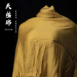 高档天丝棉混纺欧根纱超柔软不易皱透光不透肉服装设计师哑光面料