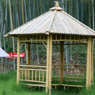 ���e��ͤ����ͥԺ��ľľ��ʽͤ���Ľ�ͤ��ͤ���ׄe������ľ�ݛ�ͤ