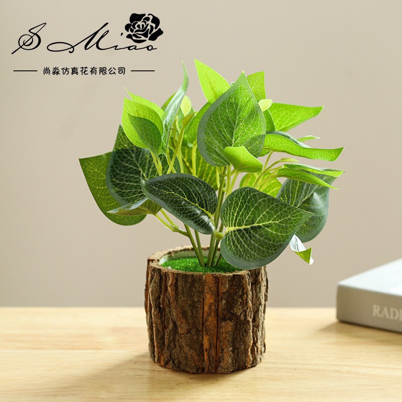 50142 maceta de corteza verde plantación bonsai ☆