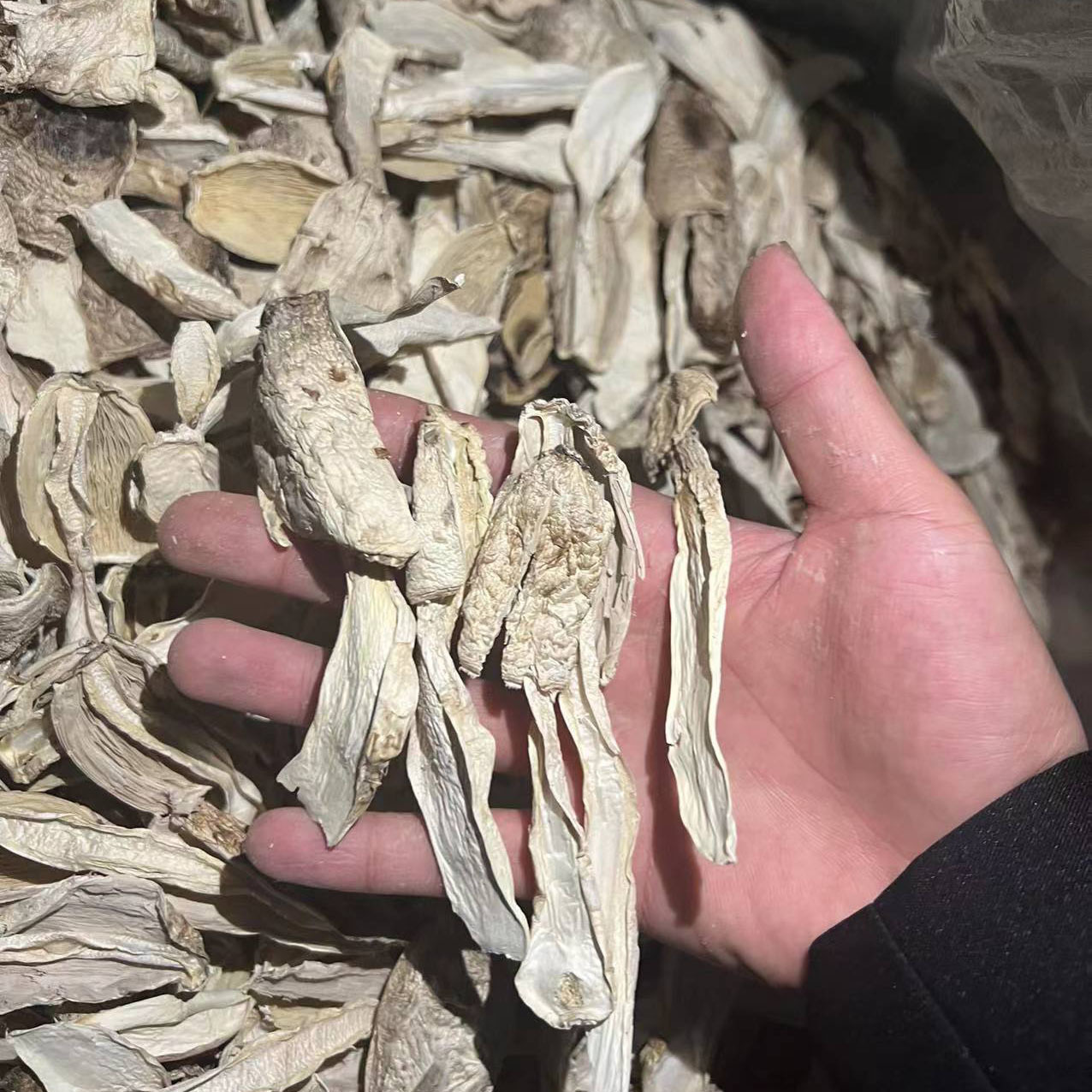 1fce08f2baa67f7b1386ced4ad4689