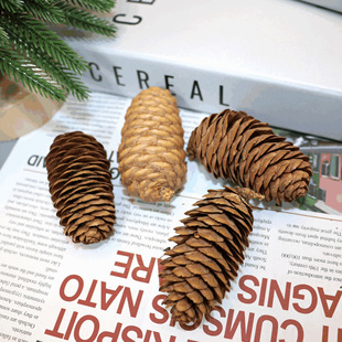 ������ ���� ������ �ɼ���ɻ����~���}�Q���b��ɹ��ɻ�DIY�b�