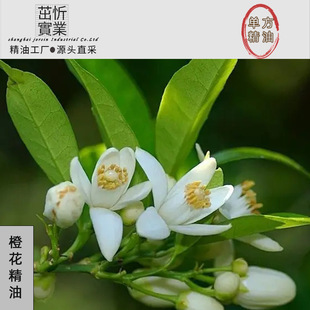 �������Ȼ��η�ֲ�ﾫ���o�w���w��Ħ���A��ԭ��10ML�����l