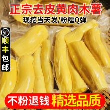 黄心木薯新鲜现挖去皮木薯广西产黄肉面包木薯羹糖水板栗农家