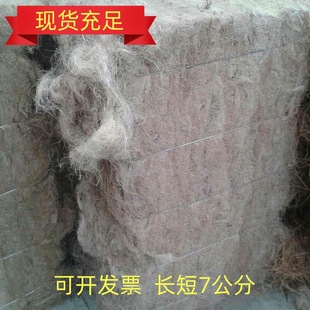 ��z 1���w�S ��� �S��� �S��z �S�鴲�|����z 5���փ���z