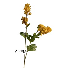 �@ˇ��ľ�k�������Ļ���֦�Ҿӷ���ֲ����ƿ����[�Ž����[��