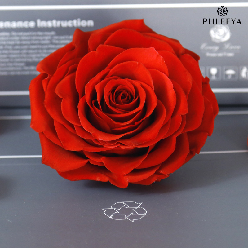 everlasting-rose-flower-head-9-10cm-single-large-diy-floral-material-gift-box-valentines-day-gift-wholesale-bouquet everlasting-rose-flower-head-9-10cm-single-large-diy-floral-material-gift-box-valentines-day-gift-wholesale-bouquet