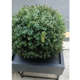 仿真植物黄杨木塑料杨梅叶人造盆栽球树户外内灌木前大亚马逊摆件