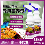 免稀释全植物营养液花卉盆栽绿叶生长肥料绿萝发财树花肥花卉专用