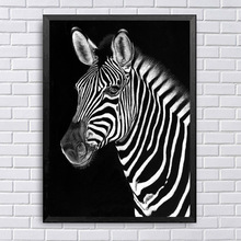 黑白动物单联无框帆布画芯现代简约客厅装饰画卧室挂画一件代发