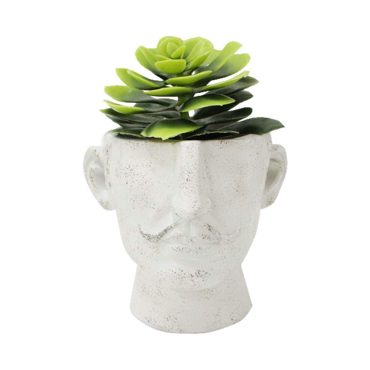 Creative portrait flowerpot resin flowerpot personality celebrity image decoration human head crafts green plant bouquet flower arranging device