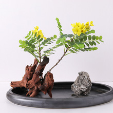 仿真花 黄槐花 家居装饰绢花婚庆布置摄影道具假花黄槐花 批发