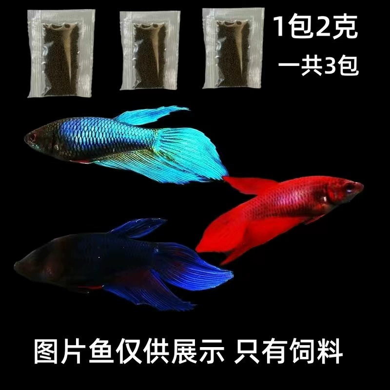Аквариумный петушок Betta (Thai Douyu) — белый/пастельный, супер-хвост SSS, тропическая декоративная рыбка