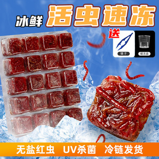 ��D�Ꭷ�~���ǿ����~����~�x�t�ZѪ�x���~��ϳ��x�S���r������