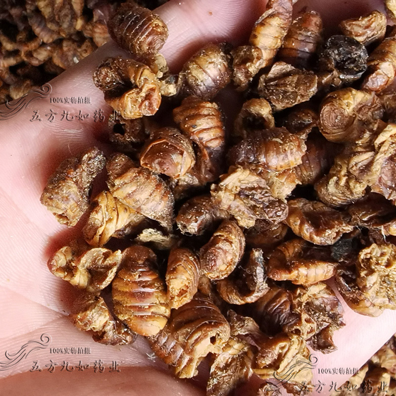 中药材批发 蝉蛹干 干蚕蛹 支持药检 一件代发货量大价优大货供应