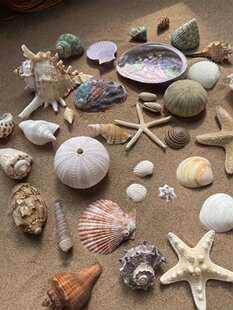 ؐ���~���쾰С���ݚ��ֹ��b��˱���ؐ�~�ľ�з��ˇƷ����