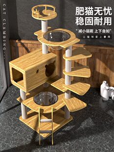 ؈����؈�C؈��һ�w̫��œ؈������ͨ����؈����Ʒ؈����̨؈ץ��