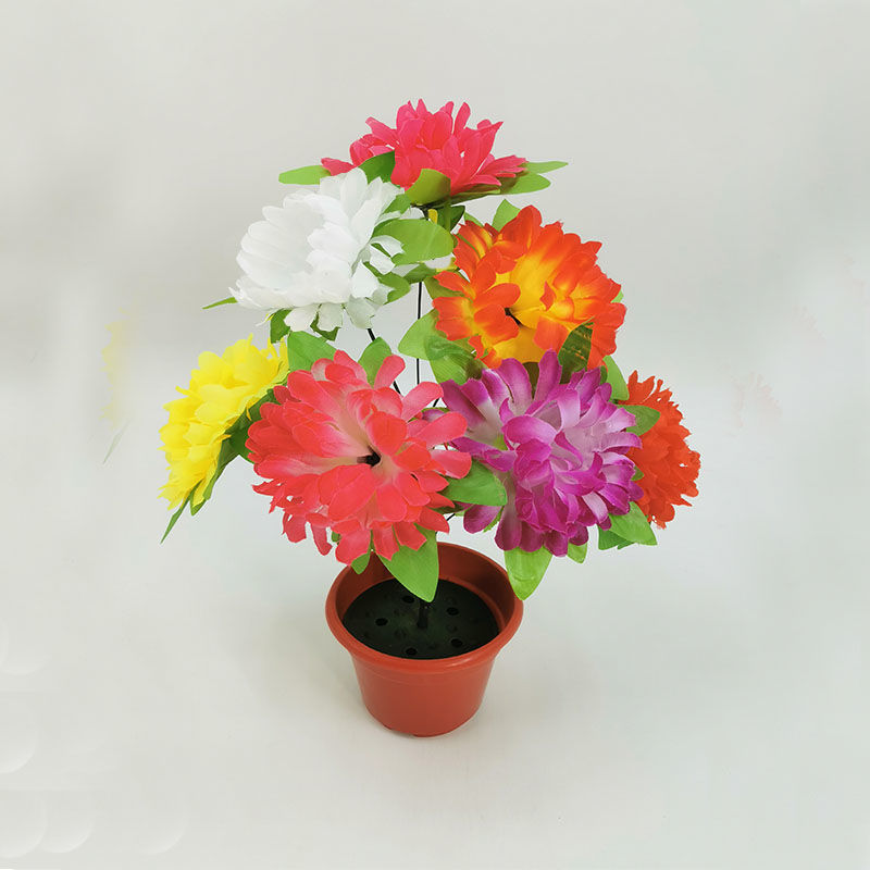 7-headed chrysanthemum with leaves (color) 1 branch - 1 branch + flowerpot quality choice