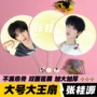 高品质物料明星应援扇子
