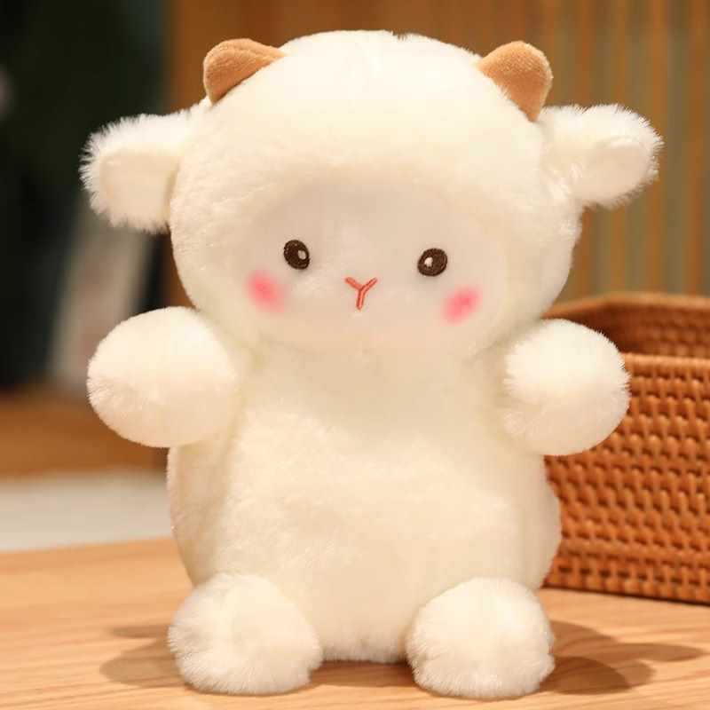 popker lamb 25cm
