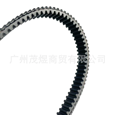 0180055000 0180-055000-0001 – Belt