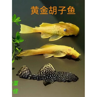 �S������~�����~�ݸ��^�p�~���w����z��ë�幤���~С���坍�~