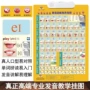 初一发音小学生标准挂图