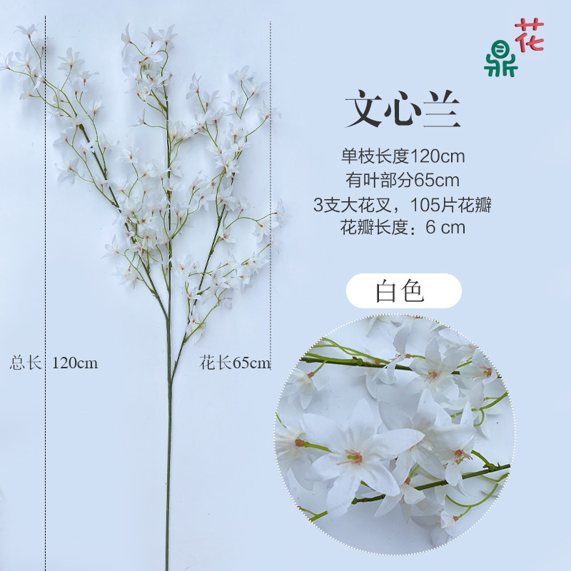 화이트 웬신 블루