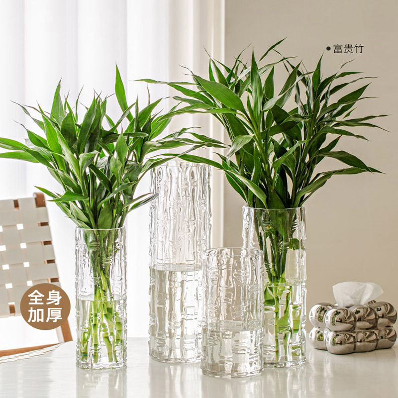 現代簡約直筒透明玻璃花瓶高級感水培富貴竹花瓶ins風高顏值擺件