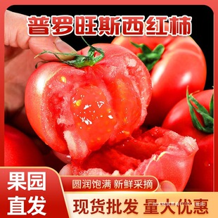 ���_��˹�Fժ�F�lɳȿˮ���������r�Ϲ�����һ�����lʳ���r�aƷ�o