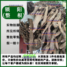 ƽiꖴɐݾ޽ݾiƬiȥƤ