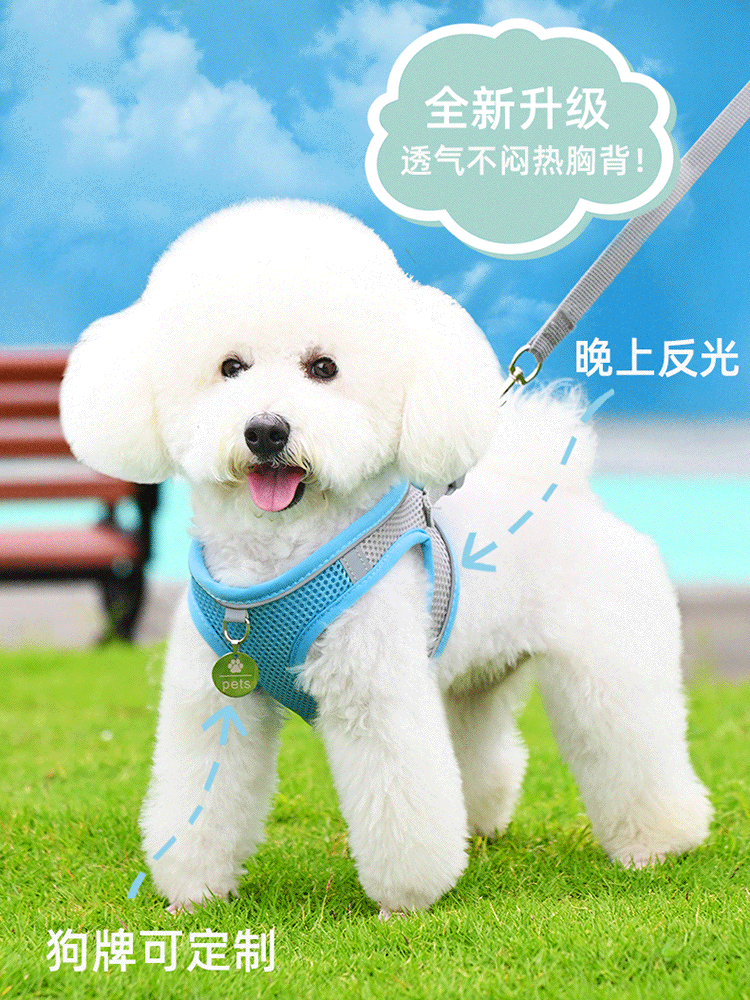 Новый летний поводок для выгула собак, жилет, стильный шлейка для маленьких собак, щенков, цепочка для собак бишон Тедди, померанский шпиц