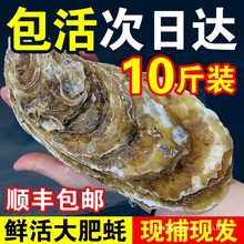 ������ɽ����r��ĵϠ���r�����ش��⺣Ϡ��10�ﺣ�r����ˮ�a��S