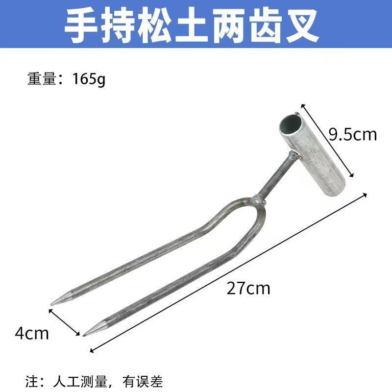 두 개의 이빨 핸드 포크