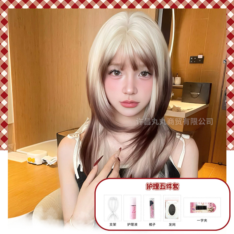 샴 고양이 그라데이션 + 케어 세트