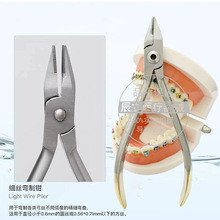 ���������Q���z�����Q���Ώ��Ƴ��͌����Q�X������