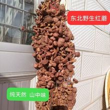 红蘑肉蘑松树伞丁野生蘑菇东北特产辽宁朝阳精选自然晾晒干货新货