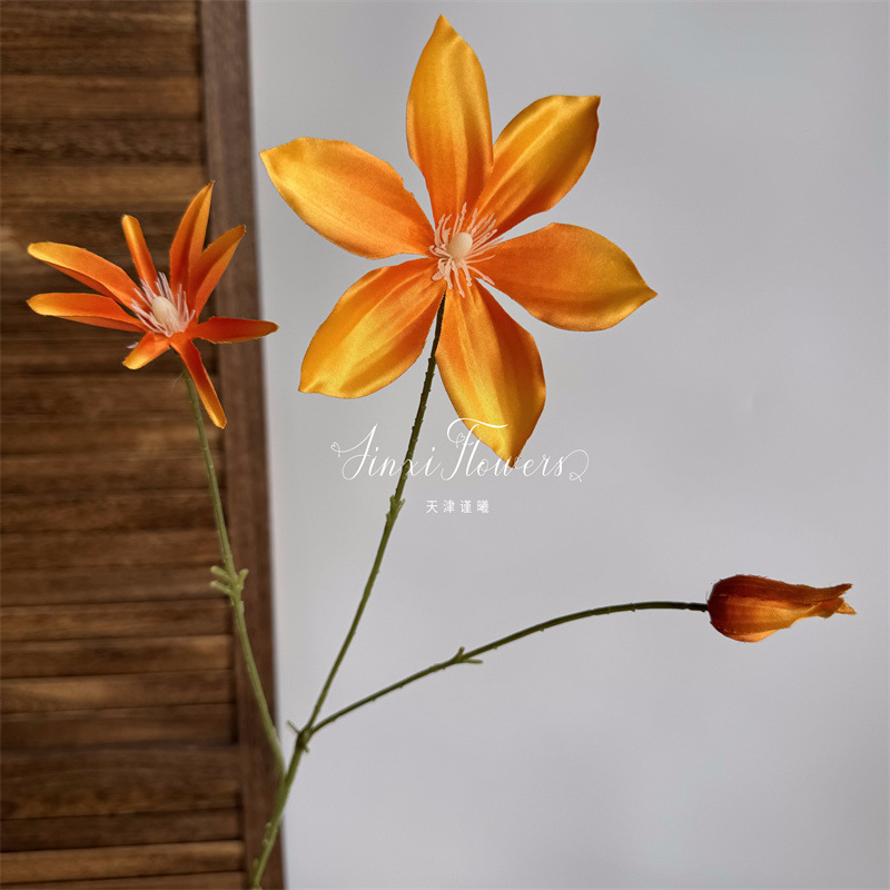 3 Clematis không lá