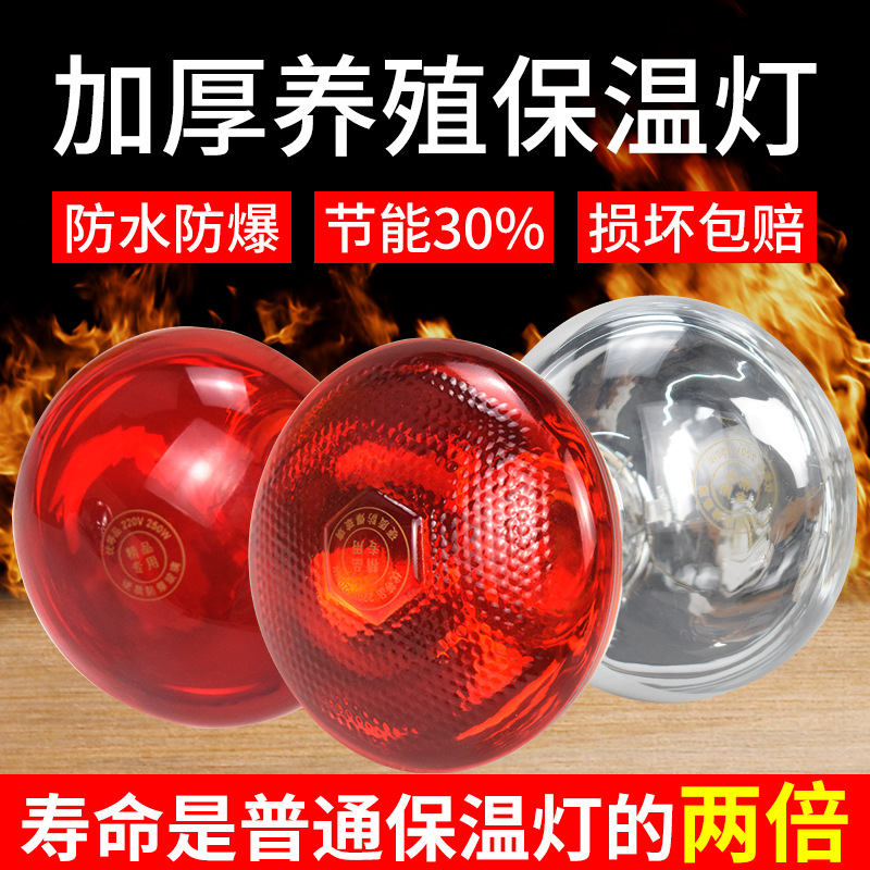 Lámpara de aislamiento térmico para cerdos lámpara térmica de cerdo para la granja de pollos especial engrosada lechón calefacción cría calefacción bombilla para la venta