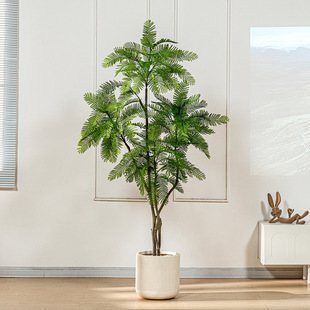 �¿��͸̘����Gֲ���쾰�^�����{�����ؔ[���҃��b٘�����