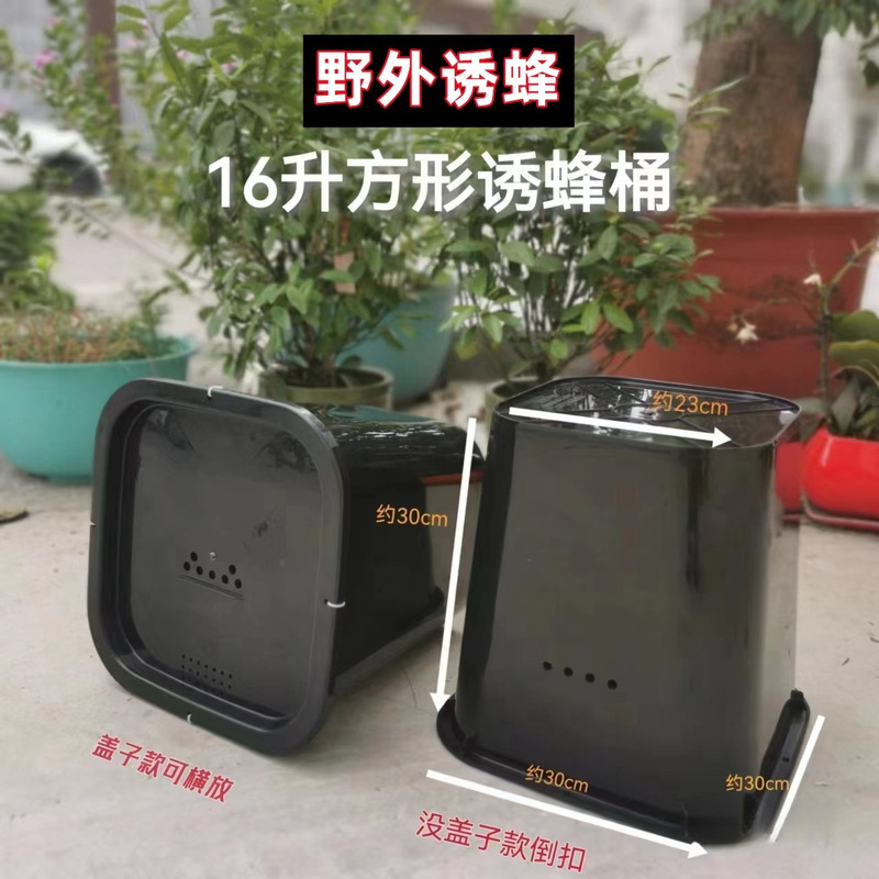 蜂箱桶捕去水桶蜂蜡养蜂味旧招蜂蜜蜂方形塑料桶中野外诱蜂桶溢柚|undefined
