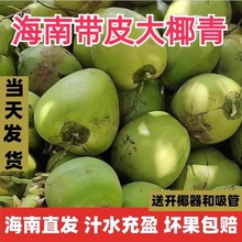 海南新鲜带皮青椰现摘大椰青文昌三亚特产绿皮嫩椰子当季水果