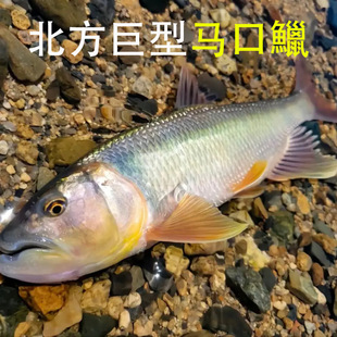 Ϫ�����R���~���^�p�~���wԭ������ˮ�~���͵�ˮ�~Ϫ���һ��~�v