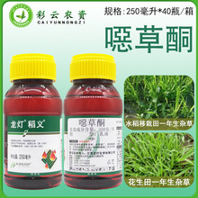 龙灯稻义25%噁草酮花生田水稻田一年生禾本科阔叶杂草苗前除草剂