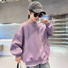 男童卫衣春秋款2026新款韩版儿童秋装衣服潮男孩打底上衣春季痞帅