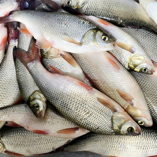 ʮ��𒡾��S���|�����_�~��ˮ�A���~�r���ك��������_�~�F���F�l